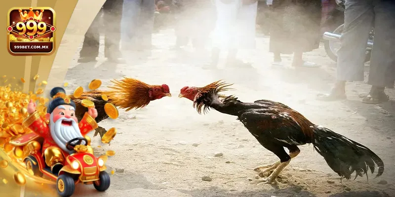 Đá Gà 999bet Luật Chơi Chi Tiết Và Lưu Ý Cho Người Mới 3 Hướng dẫn chi tiết các bước tham gia sân chơi đá gà tại 999bet