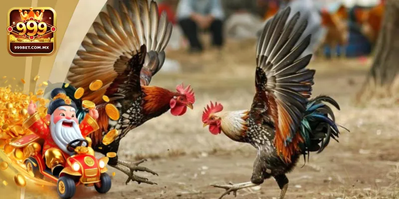 Hướng dẫn chi tiết cách tham gia đá gà tre tại 999bet