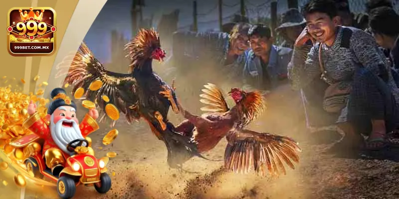 Đá Gà 999bet Luật Chơi Chi Tiết Và Lưu Ý Cho Người Mới 2 Người chơi cần hiểu rõ và tuân thủ luật chơi đá gà 999bet